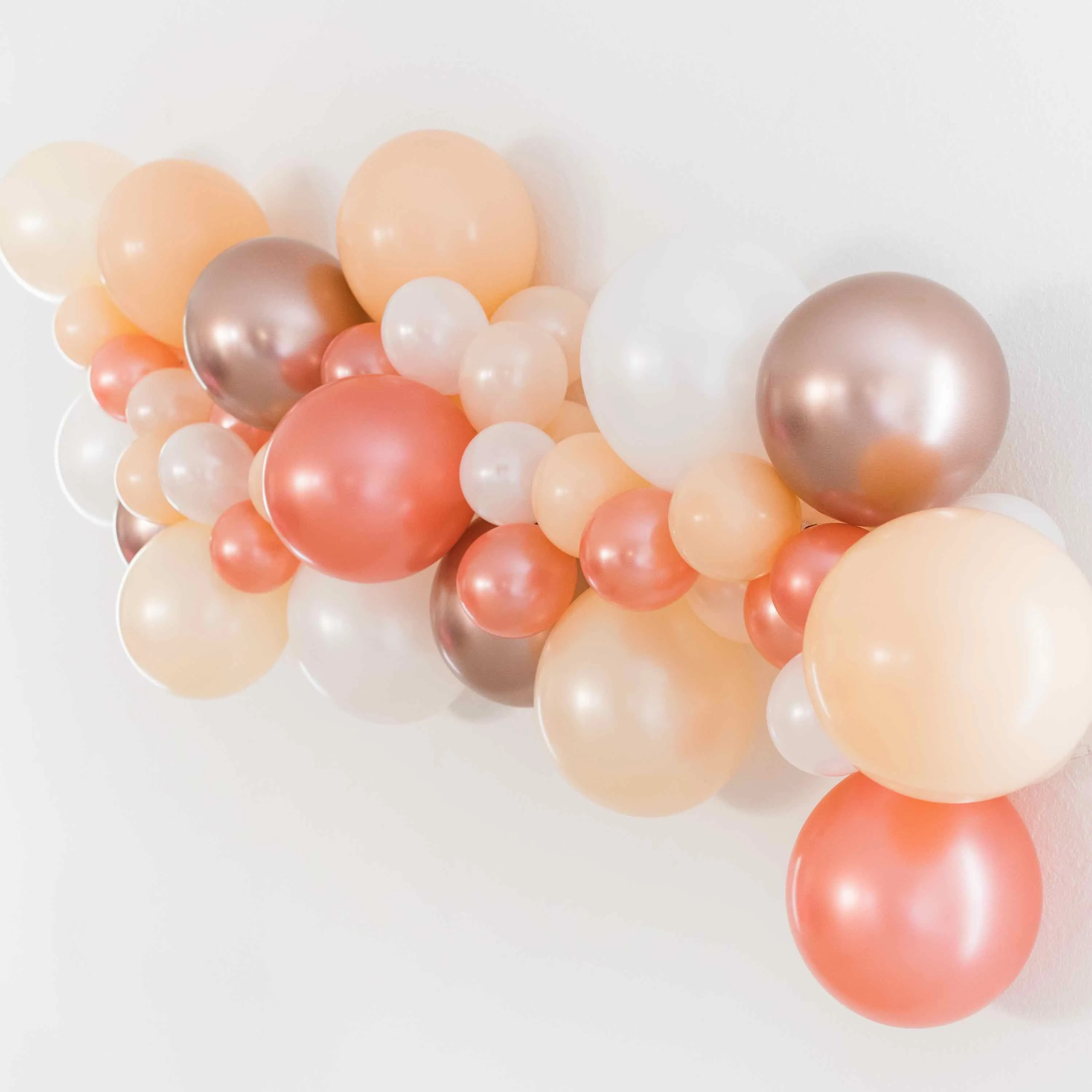 Blush Champagne DIY Balloon Garland Kit