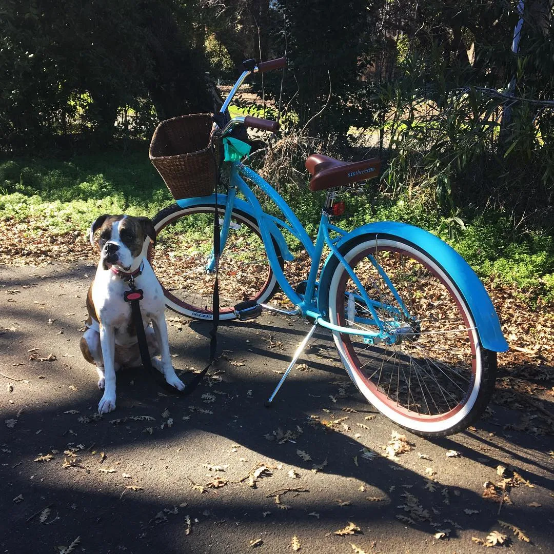 sixthreezero Classic Edition 3 Speed Women's Beach Cruiser Bike