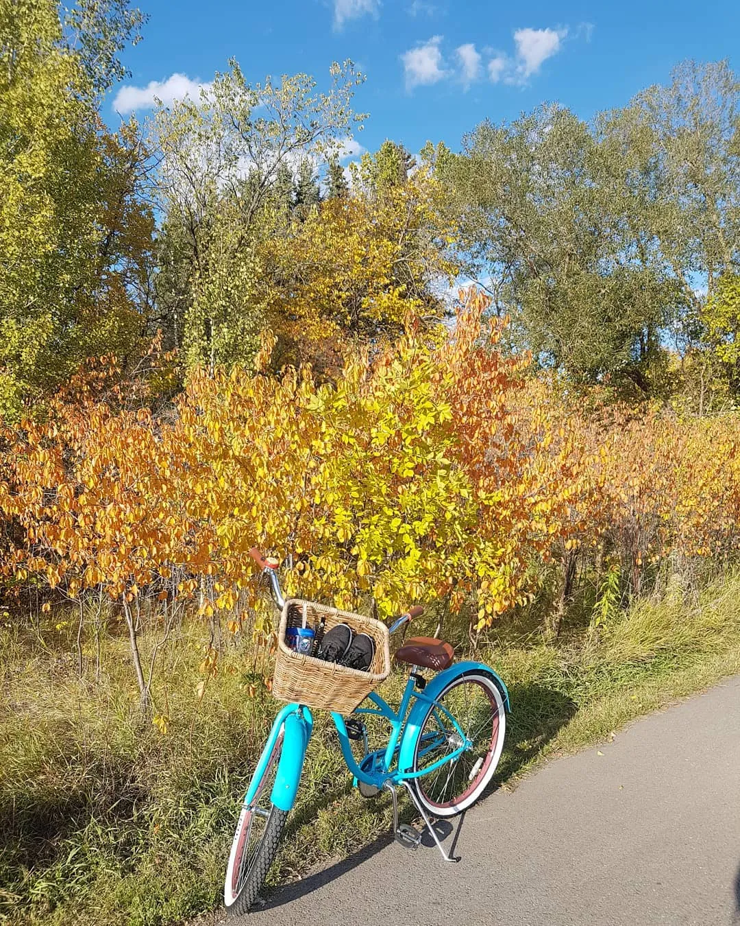 sixthreezero Dreamcycle 3 Speed Women's Beach Cruiser Bike