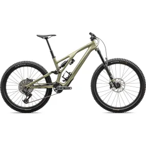 Stumpjumper EVO Expert T-Type (2024)